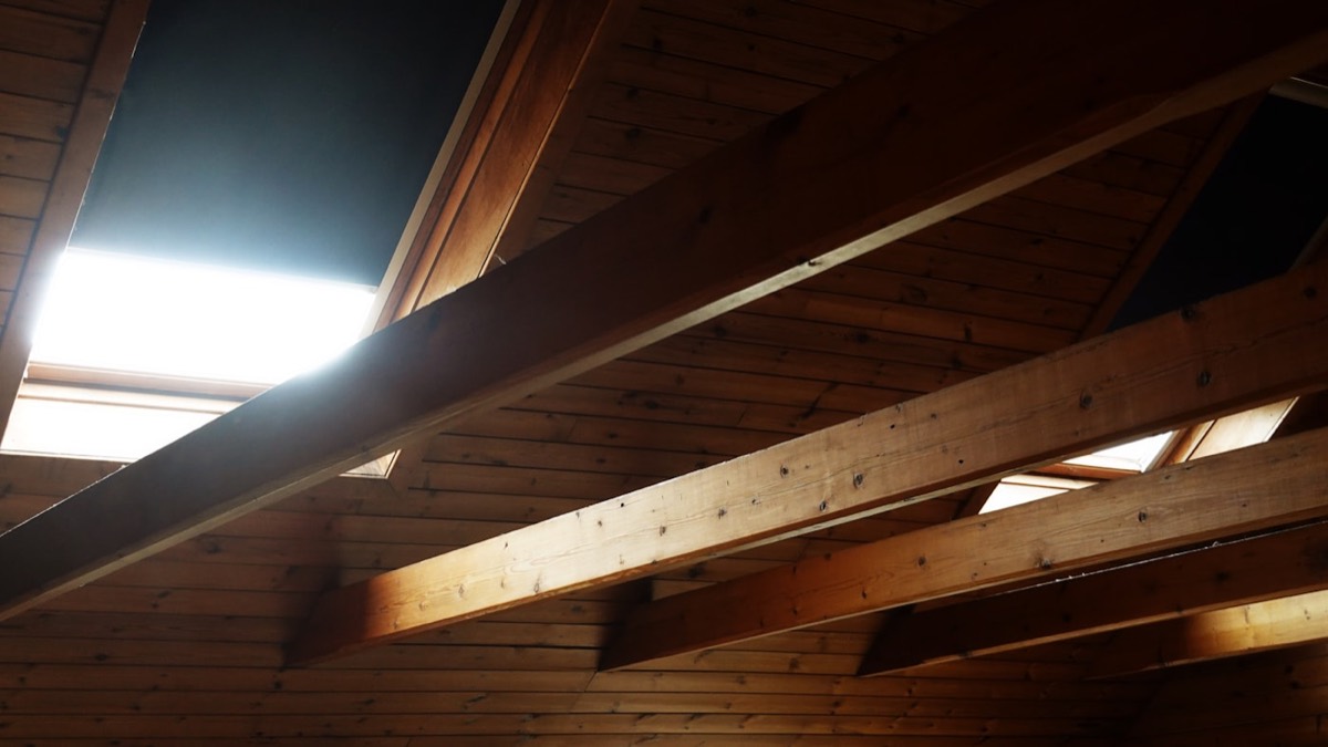 Sunlit attic rafters above a well-insulated ceiling